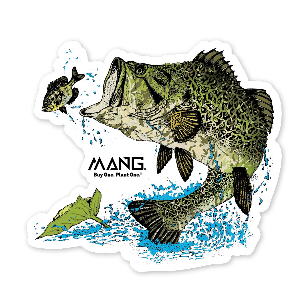 Types Of Freshwater Fish Species Fishing T-Shirt Poster for Sale