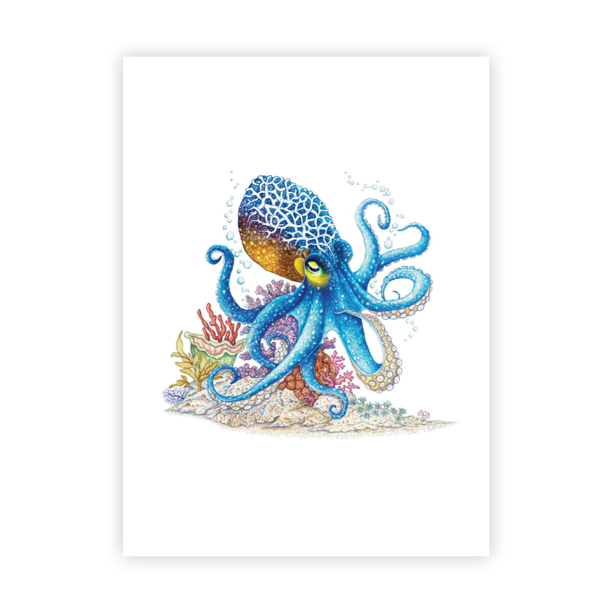 MANG Octopus - Signed Art Print (Limited Edition) - -