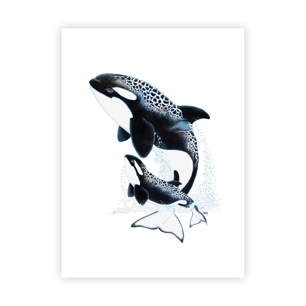 MANG Orca - Signed Art Print (Limited Edition) - -