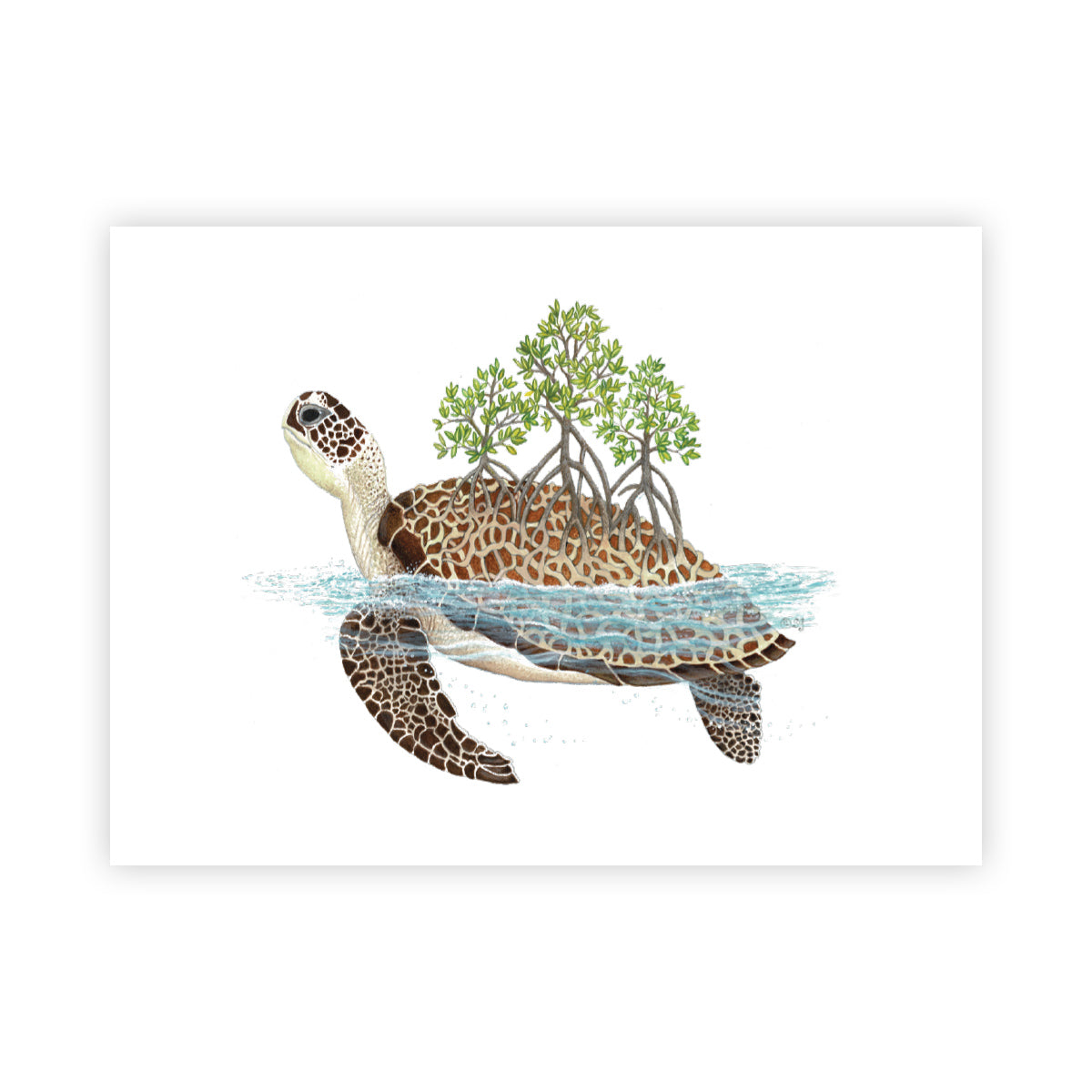 MANG Shell Grove Turtle - Signed Art Print (Limited Edition) - -